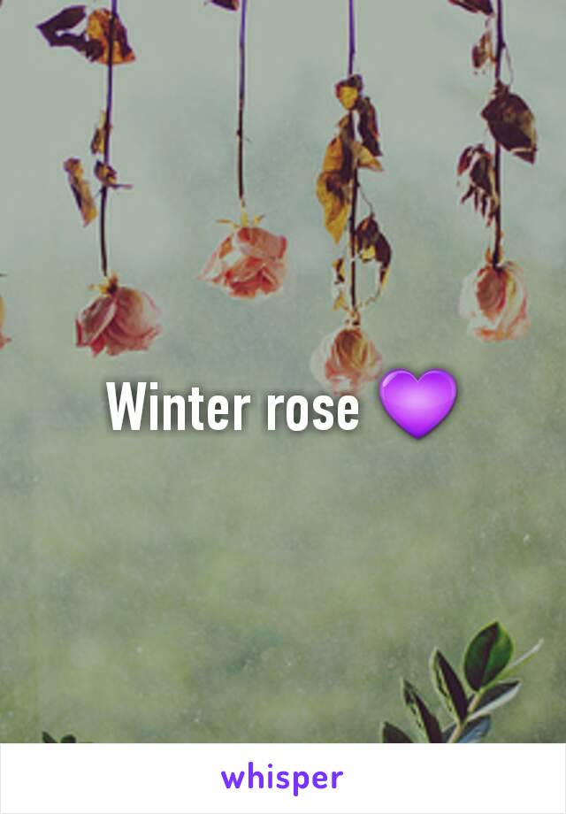 Winter rose 💜