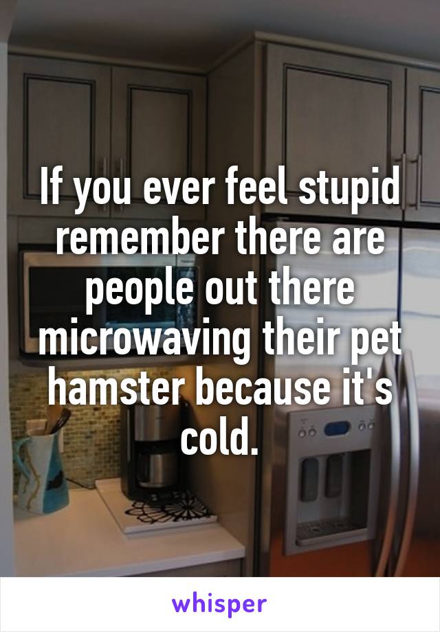 If you ever feel stupid remember there are people out there microwaving their pet hamster because it's cold.