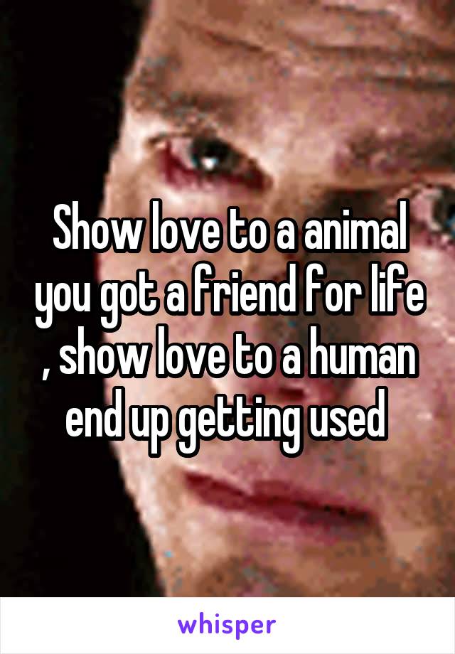 Show love to a animal you got a friend for life , show love to a human end up getting used 