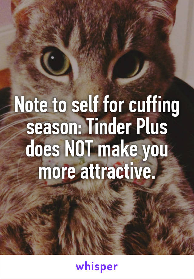 Note to self for cuffing season: Tinder Plus does NOT make you more attractive.