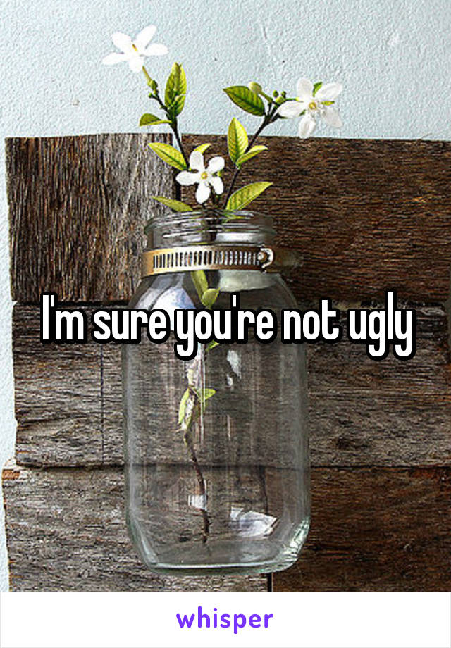 I'm sure you're not ugly