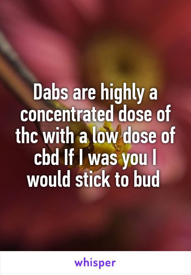 Dabs are highly a concentrated dose of thc with a low dose of cbd If I was you I would stick to bud 