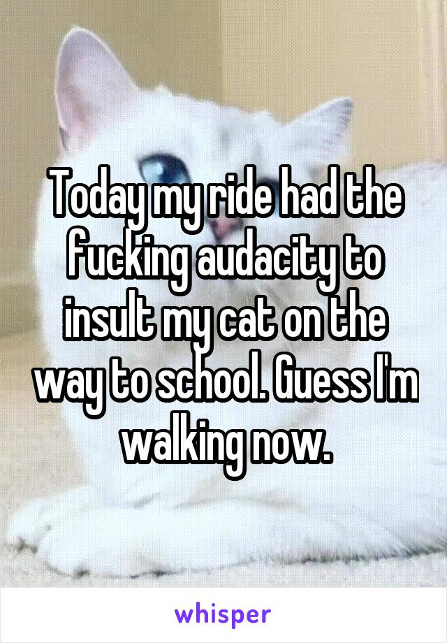 Today my ride had the fucking audacity to insult my cat on the way to school. Guess I'm walking now.