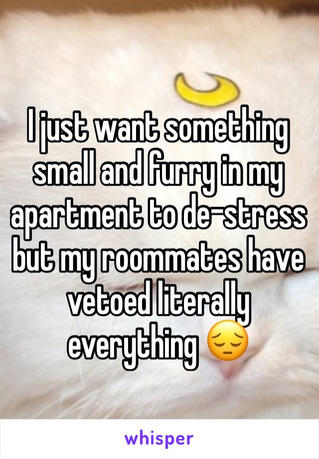 I just want something small and furry in my apartment to de-stress but my roommates have vetoed literally everything 😔