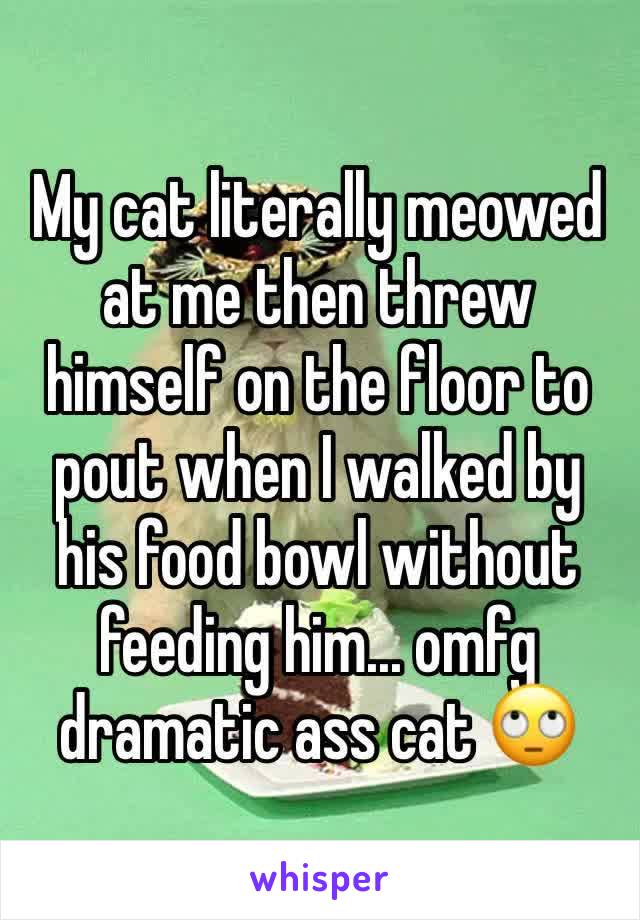 My cat literally meowed at me then threw himself on the floor to pout when I walked by his food bowl without feeding him... omfg dramatic ass cat 🙄