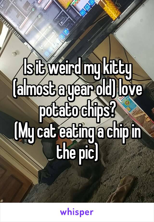 Is it weird my kitty (almost a year old) love potato chips?
(My cat eating a chip in the pic)