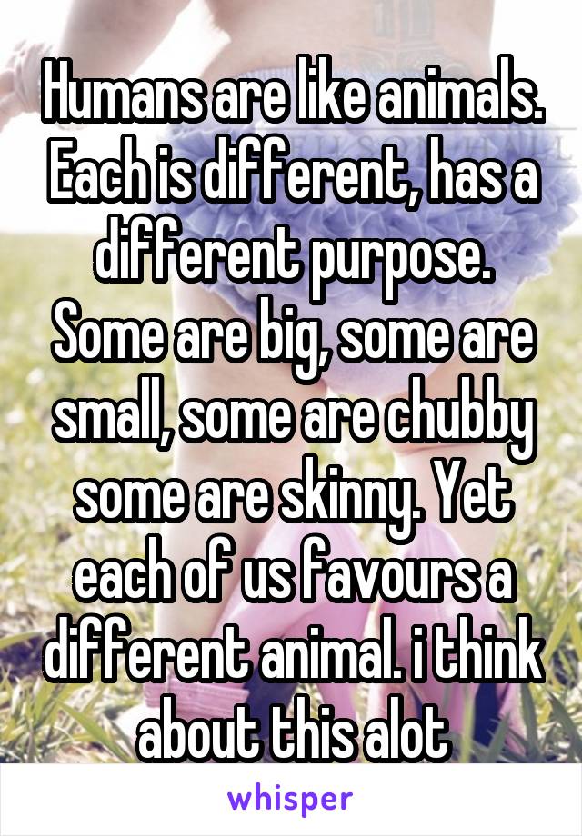 Humans are like animals. Each is different, has a different purpose. Some are big, some are small, some are chubby some are skinny. Yet each of us favours a different animal. i think about this alot