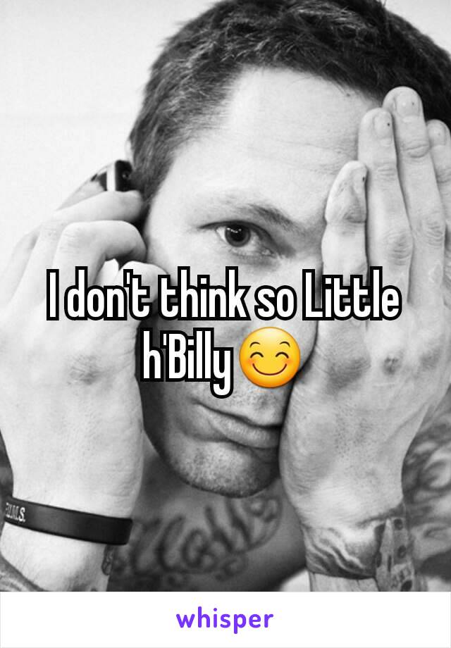 I don't think so Little h'Billy😊
