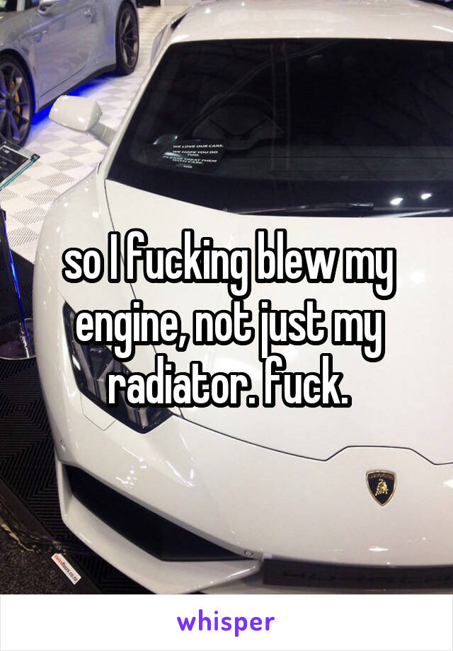 so I fucking blew my engine, not just my radiator. fuck.