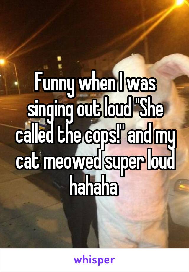 Funny when I was singing out loud "She called the cops!" and my cat meowed super loud hahaha 