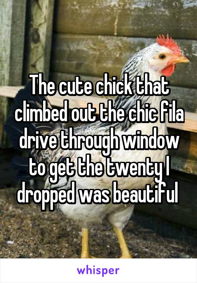 The cute chick that climbed out the chic fila drive through window to get the twenty I dropped was beautiful 
