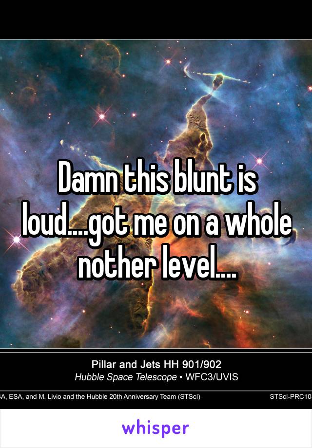 Damn this blunt is loud....got me on a whole nother level....