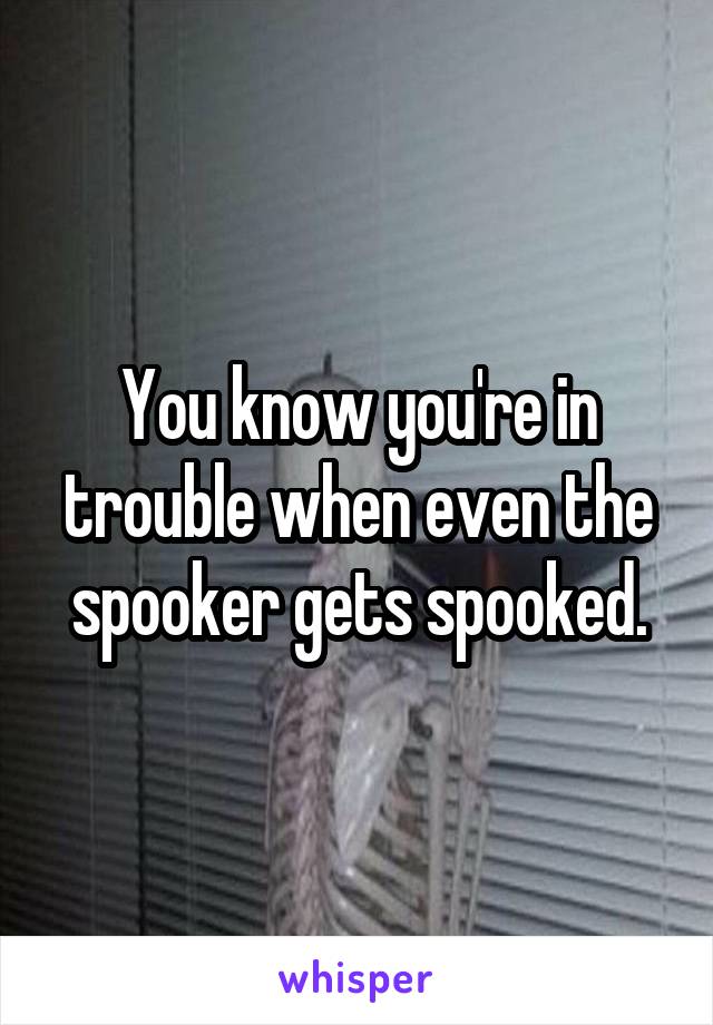 You know you're in trouble when even the spooker gets spooked.