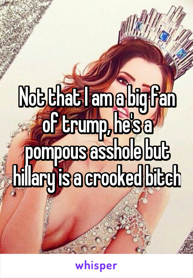 Not that I am a big fan of trump, he's a pompous asshole but hillary is a crooked bitch