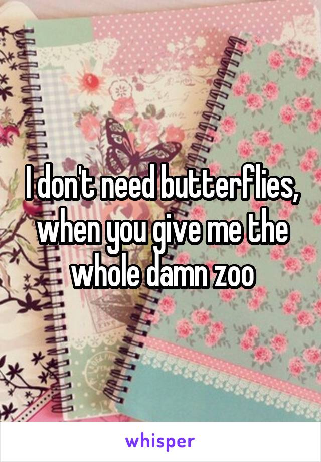 I don't need butterflies, when you give me the whole damn zoo