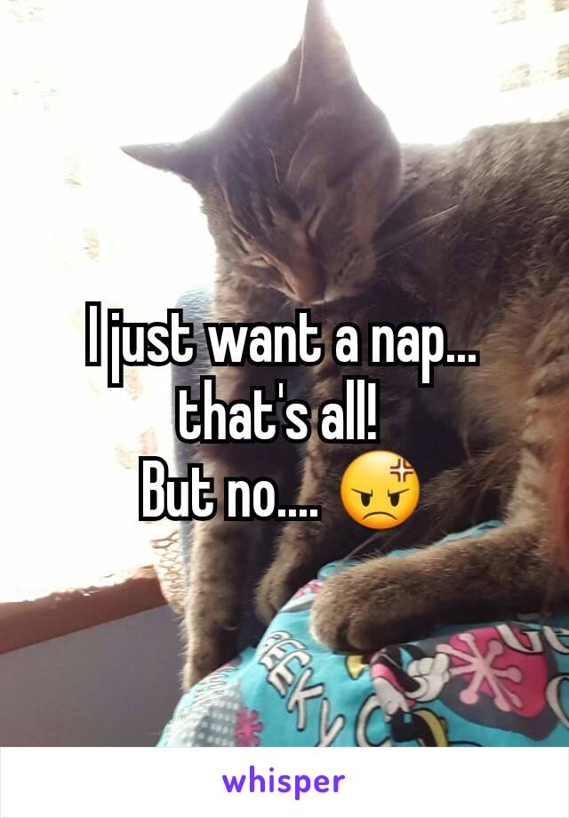 I just want a nap... that's all! 
But no.... 😡