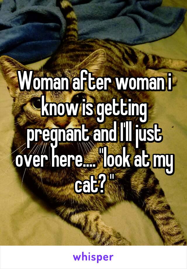 Woman after woman i know is getting pregnant and I'll just over here.... "look at my cat? "