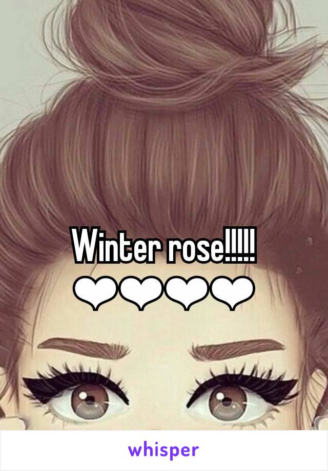 Winter rose!!!!! ❤❤❤❤