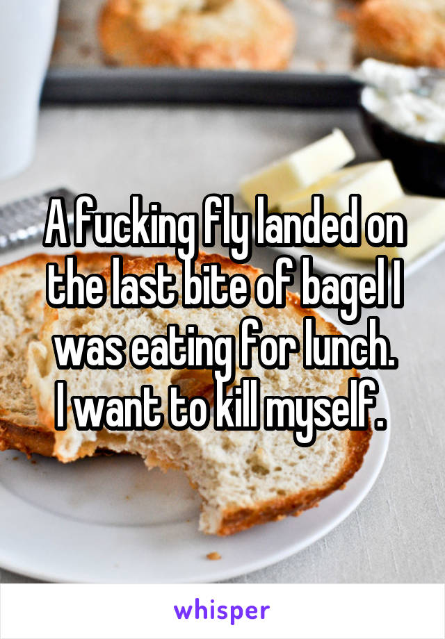 A fucking fly landed on the last bite of bagel I was eating for lunch.
I want to kill myself. 