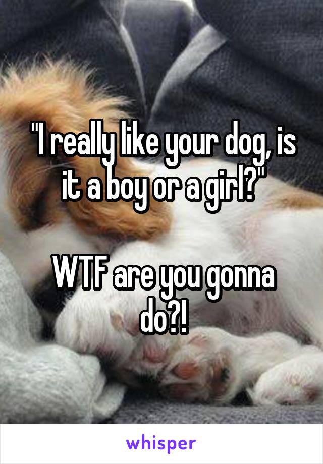 "I really like your dog, is it a boy or a girl?"

WTF are you gonna do?!