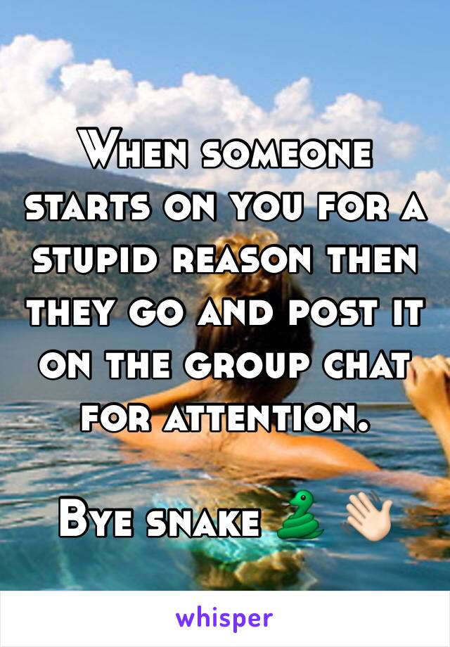 When someone starts on you for a stupid reason then they go and post it on the group chat for attention. 

Bye snake 🐍 👋🏻 