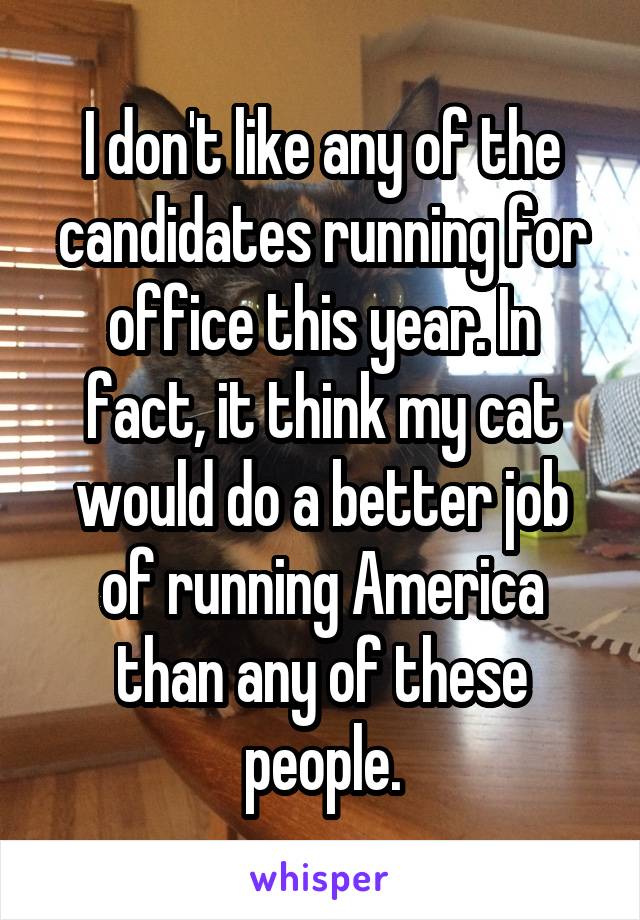 I don't like any of the candidates running for office this year. In fact, it think my cat would do a better job of running America than any of these people.