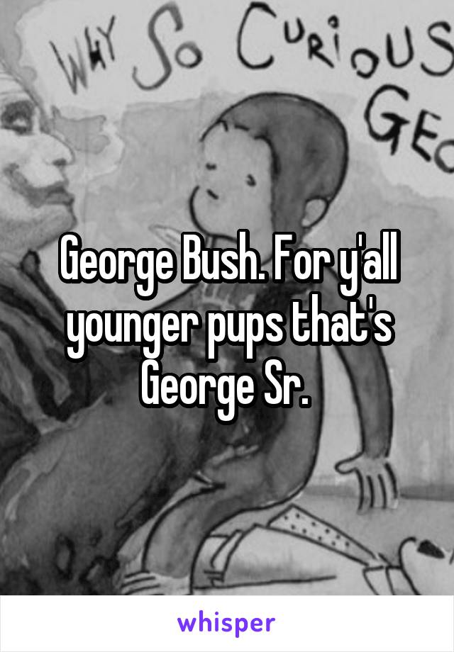 George Bush. For y'all younger pups that's George Sr. 