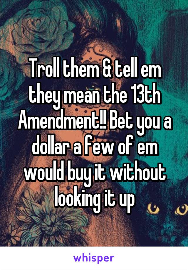 Troll them & tell em they mean the 13th Amendment!! Bet you a dollar a few of em would buy it without looking it up
