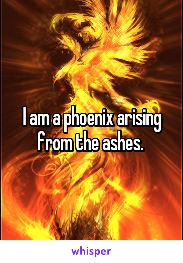 I am a phoenix arising from the ashes. 