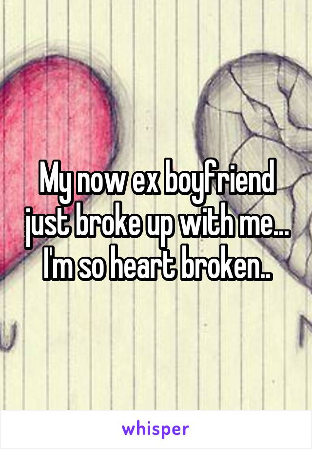 My now ex boyfriend just broke up with me... I'm so heart broken..