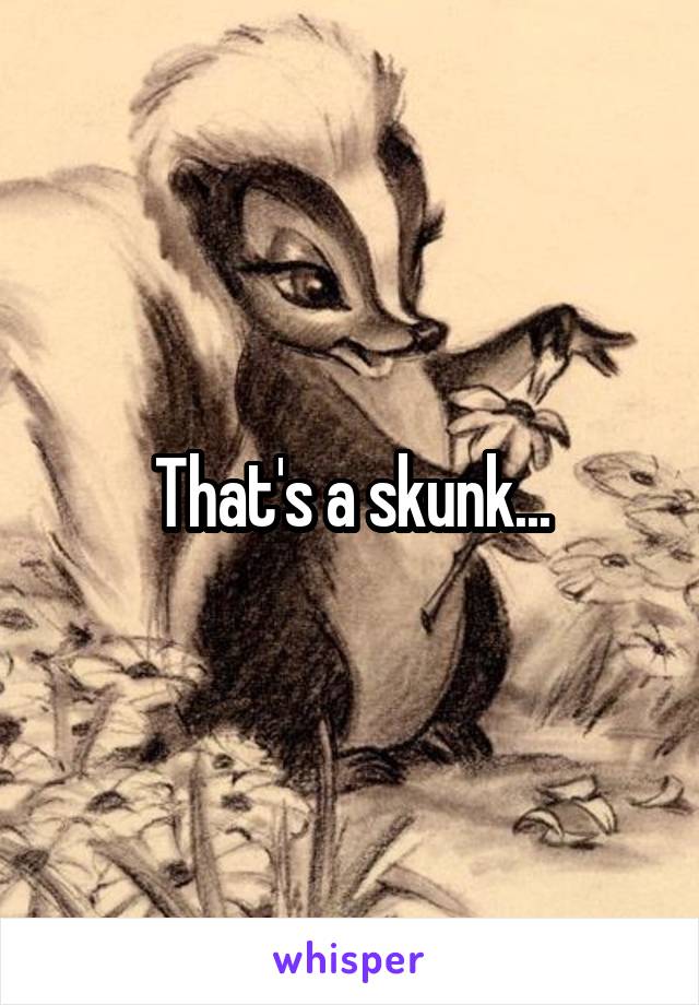 That's a skunk...