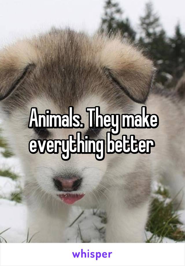 Animals. They make everything better 