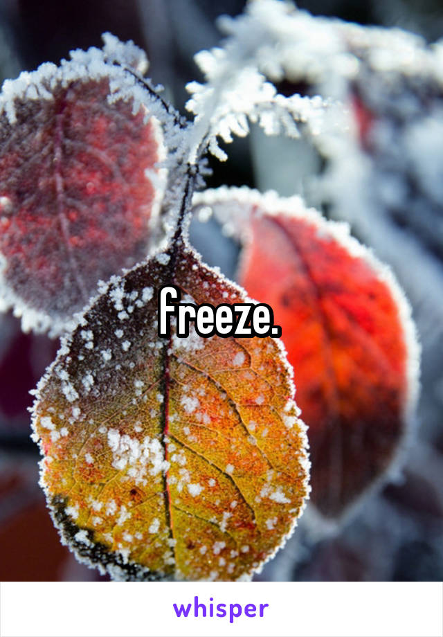freeze. 