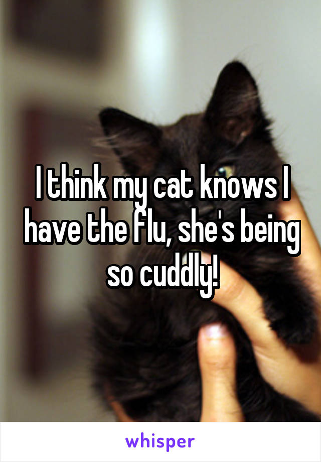 I think my cat knows I have the flu, she's being so cuddly!