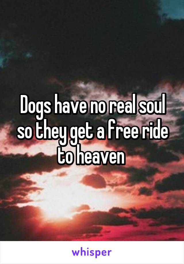 Dogs have no real soul so they get a free ride to heaven 