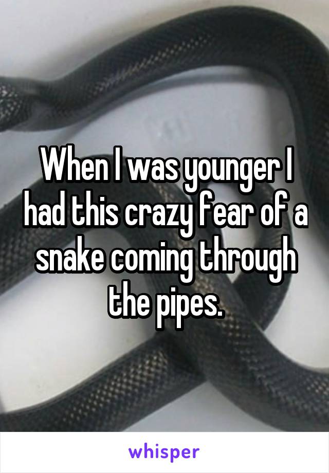 When I was younger I had this crazy fear of a snake coming through the pipes.