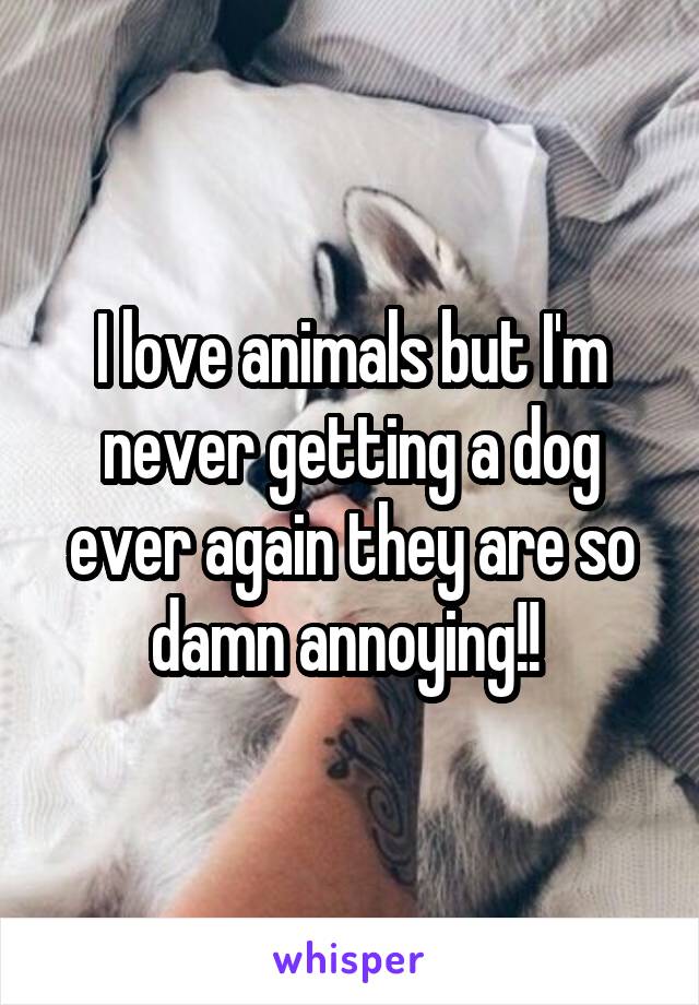 I love animals but I'm never getting a dog ever again they are so damn annoying!! 