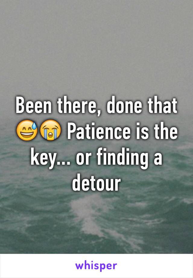 Been there, done that 😅😭 Patience is the key... or finding a detour