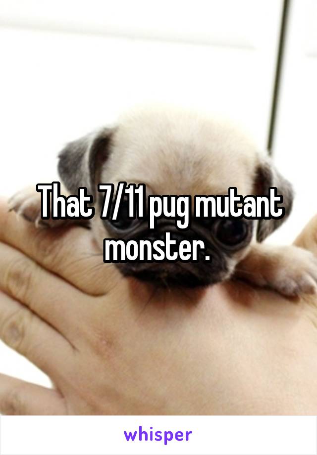 That 7/11 pug mutant monster. 