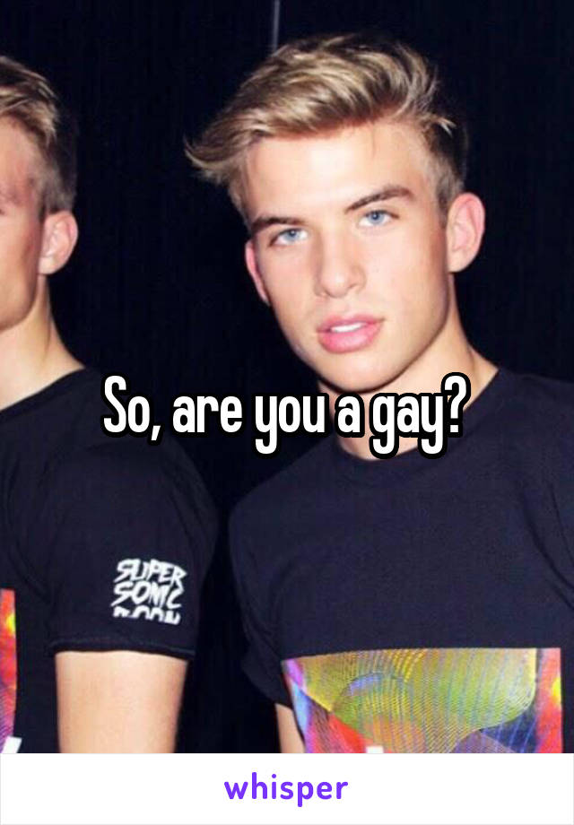 So, are you a gay? 