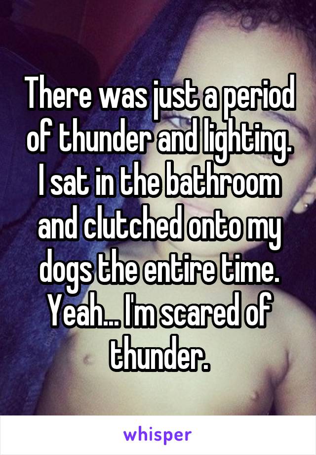 There was just a period of thunder and lighting. I sat in the bathroom and clutched onto my dogs the entire time.
Yeah... I'm scared of thunder.
