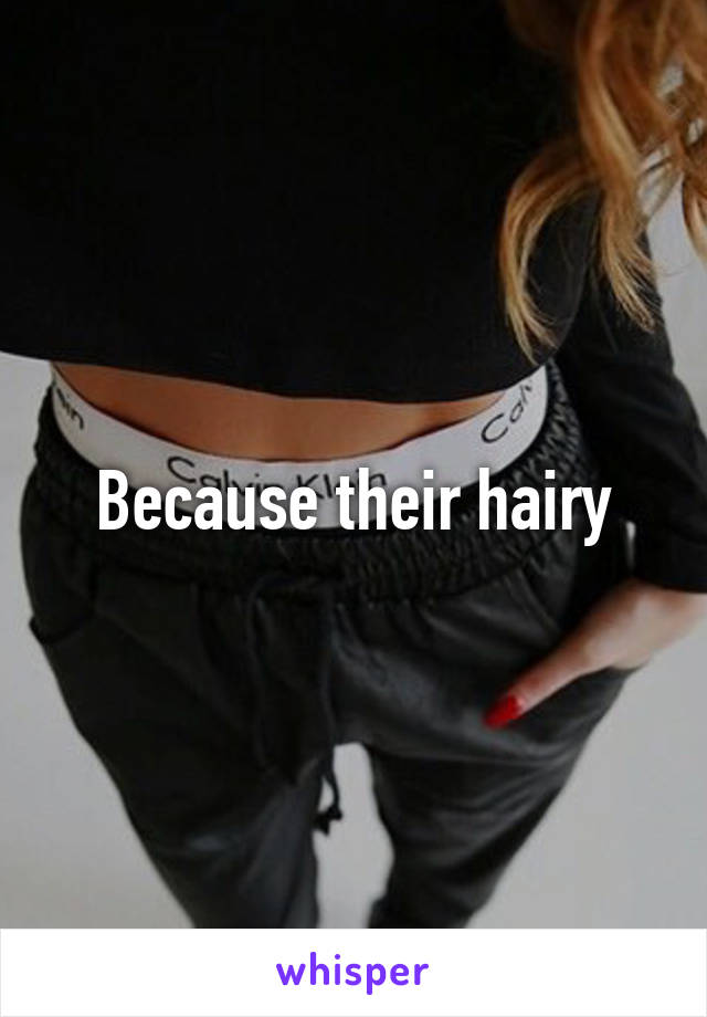 Because their hairy