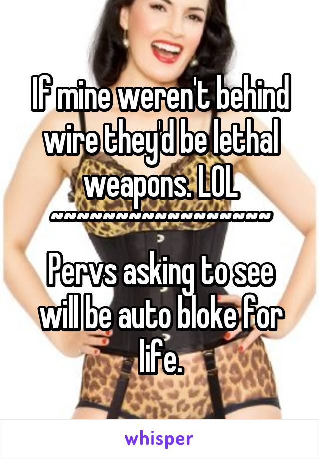 If mine weren't behind wire they'd be lethal weapons. LOL
~~~~~~~~~~~~~~~~~
Pervs asking to see will be auto bloke for life.