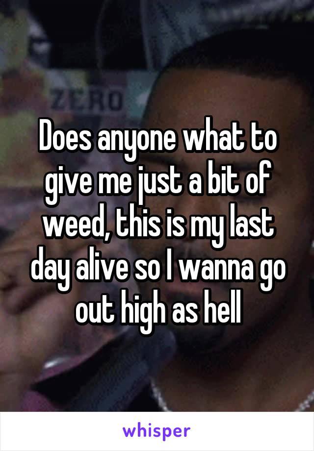 Does anyone what to give me just a bit of weed, this is my last day alive so I wanna go out high as hell