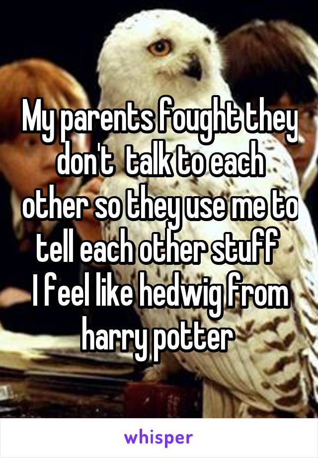 My parents fought they don't  talk to each other so they use me to tell each other stuff 
I feel like hedwig from harry potter 