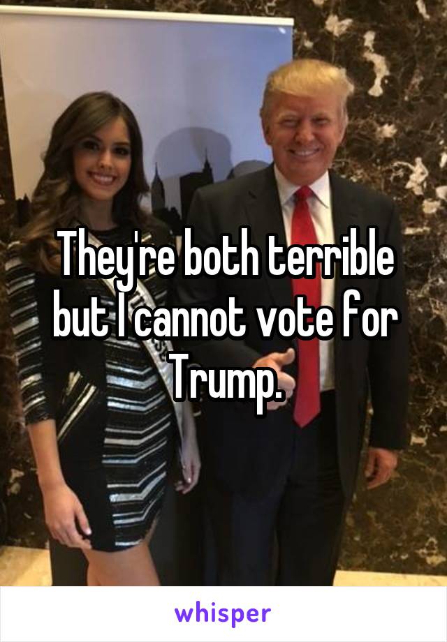They're both terrible but I cannot vote for Trump.
