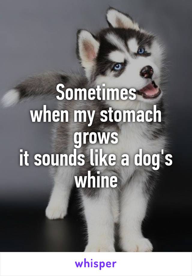Sometimes
when my stomach grows
it sounds like a dog's whine