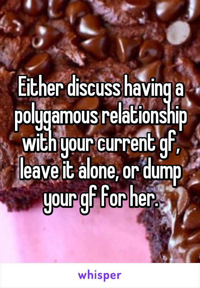 Either discuss having a polygamous relationship with your current gf, leave it alone, or dump your gf for her.