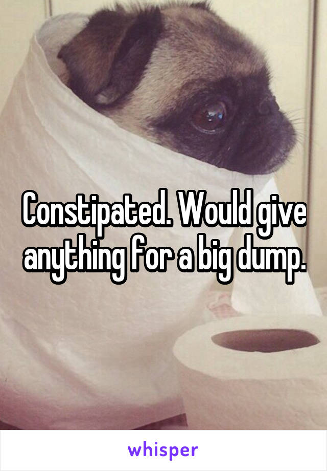 Constipated. Would give anything for a big dump.