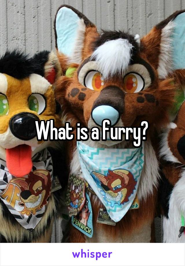 What is a furry? 